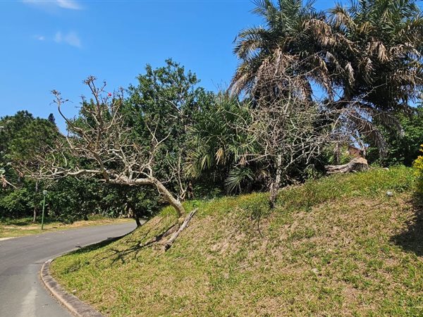 639 m² Land available in Scottburgh Central