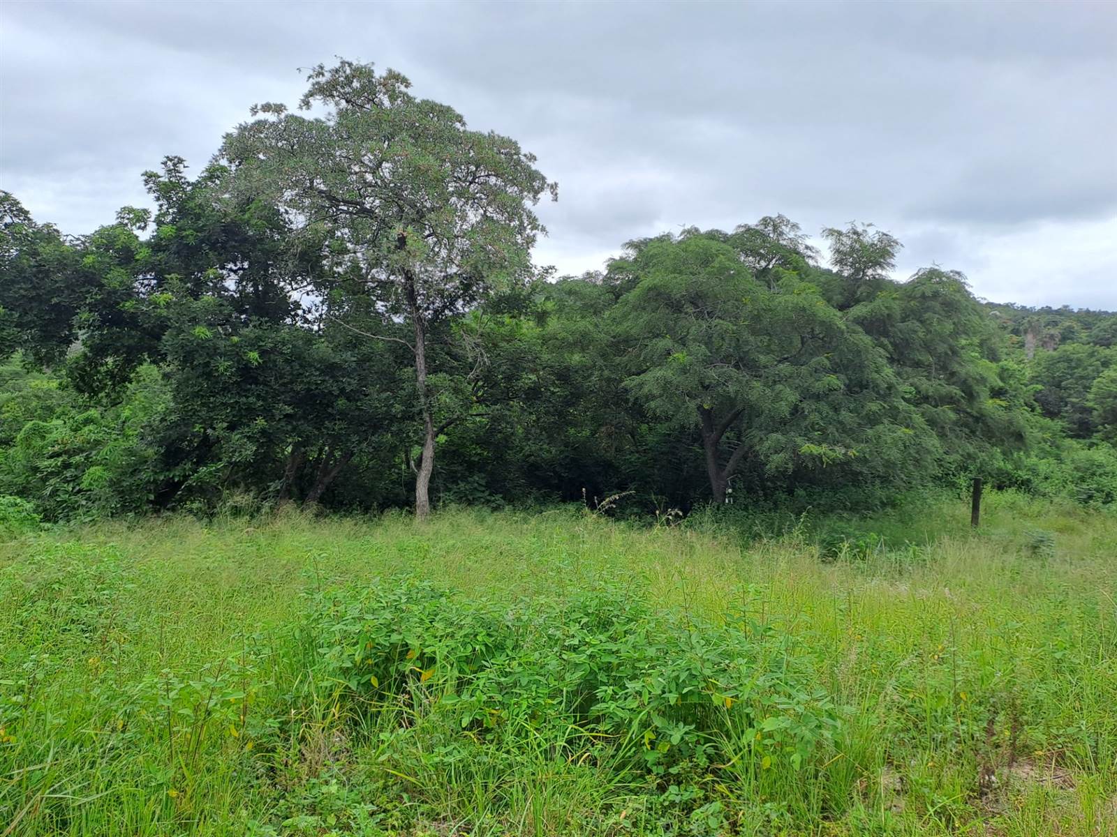 850 m² Land available in Numbi Park photo number 4