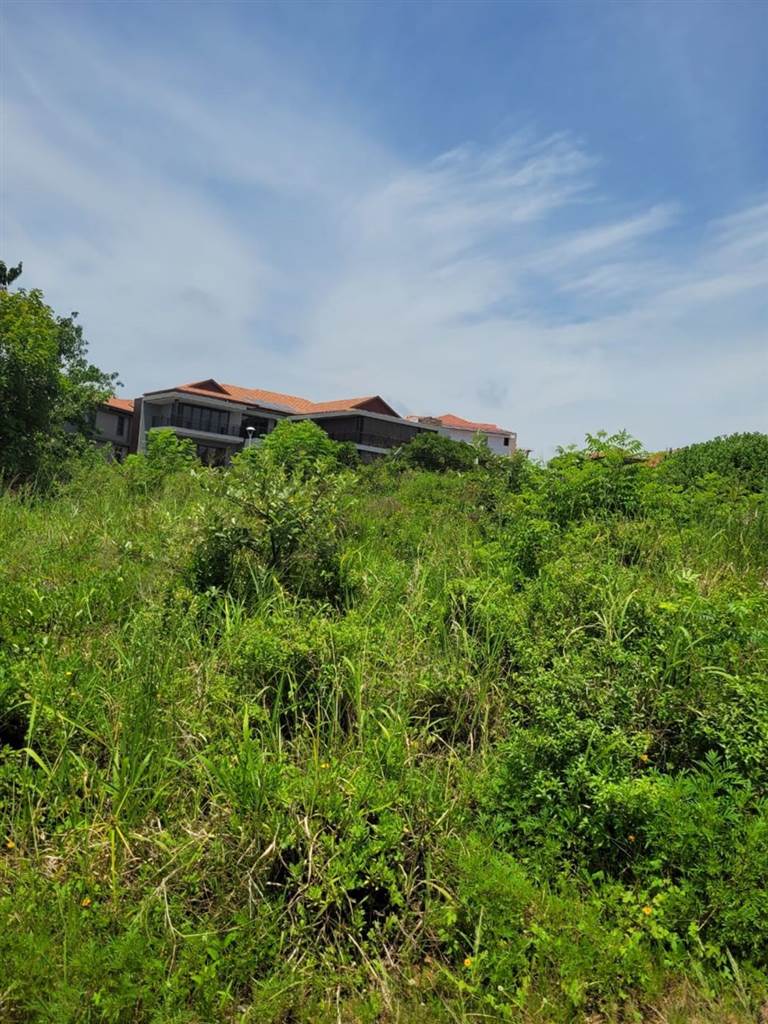 1171 m² Land available in Hawaan Forest Estate photo number 8