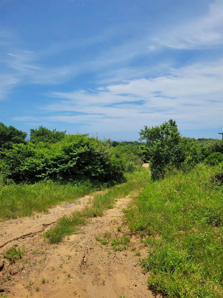 1171 m² Land available in Hawaan Forest Estate photo number 5