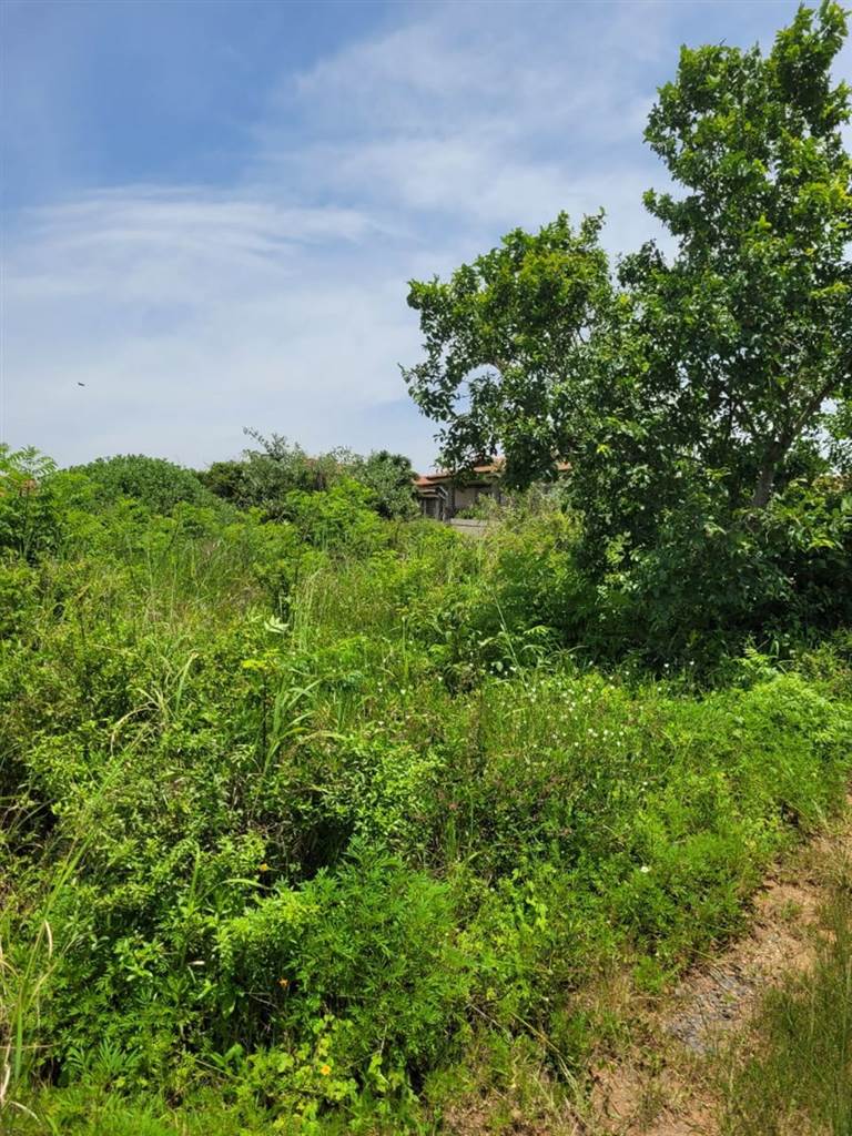 1171 m² Land available in Hawaan Forest Estate photo number 10