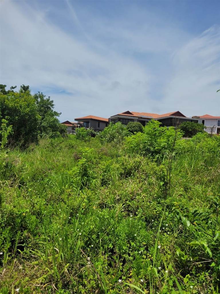 1171 m² Land available in Hawaan Forest Estate photo number 6