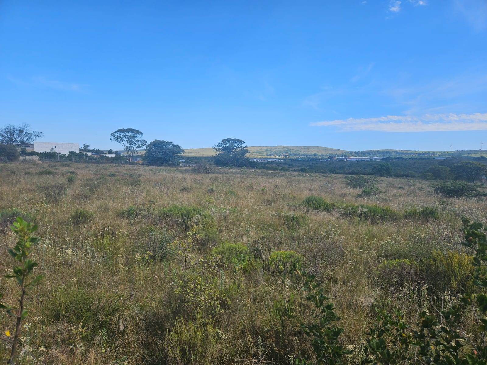 5045 m² Land available in Grahamstown Central photo number 11