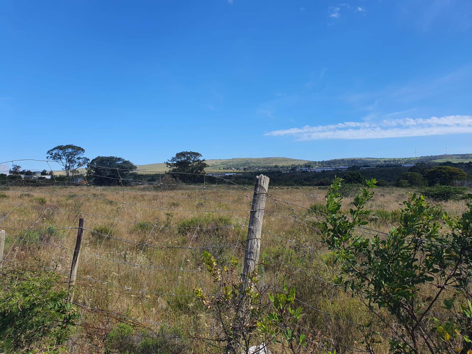 5045 m² Land available in Grahamstown Central photo number 6