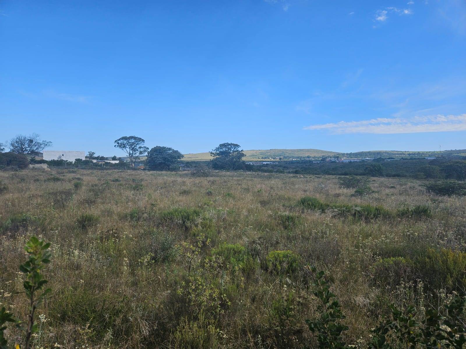 5045 m² Land available in Grahamstown Central photo number 10