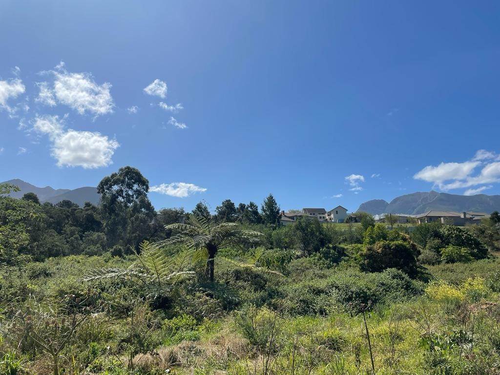 6106 m² Land available in Blanco photo number 5