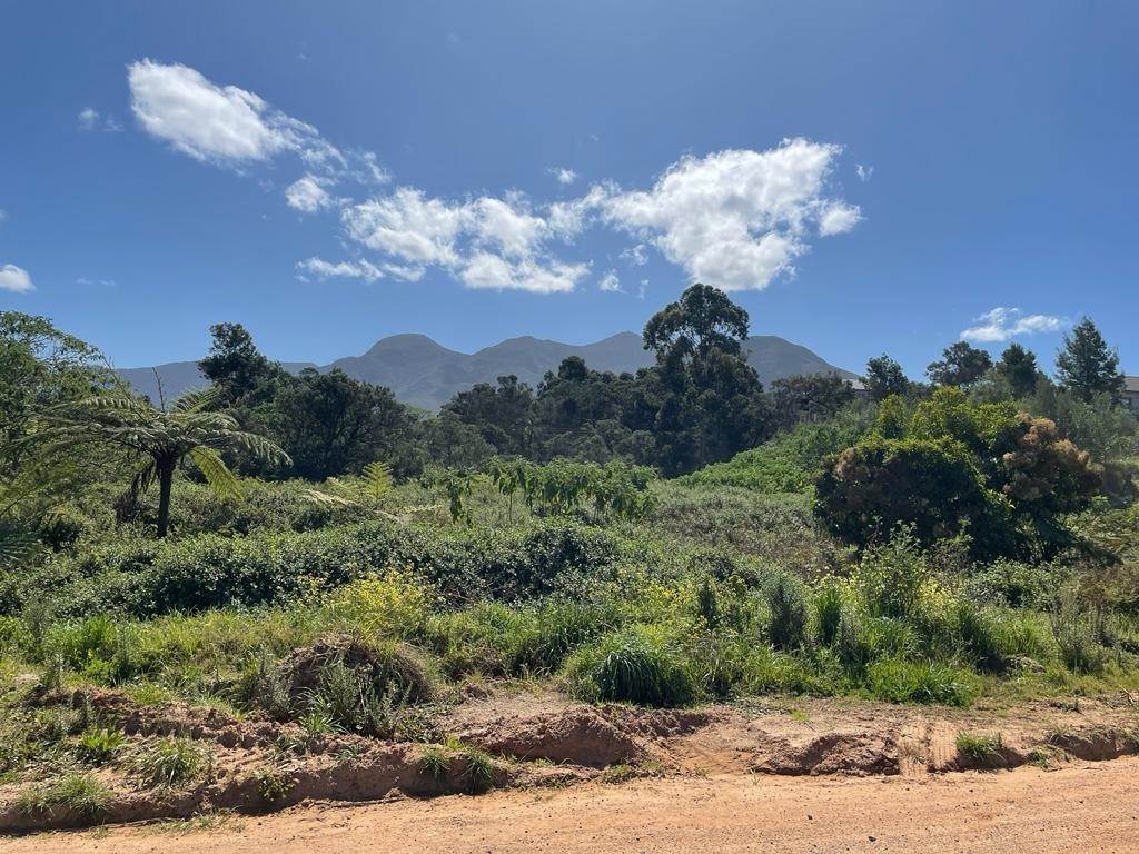 6106 m² Land available in Blanco photo number 2