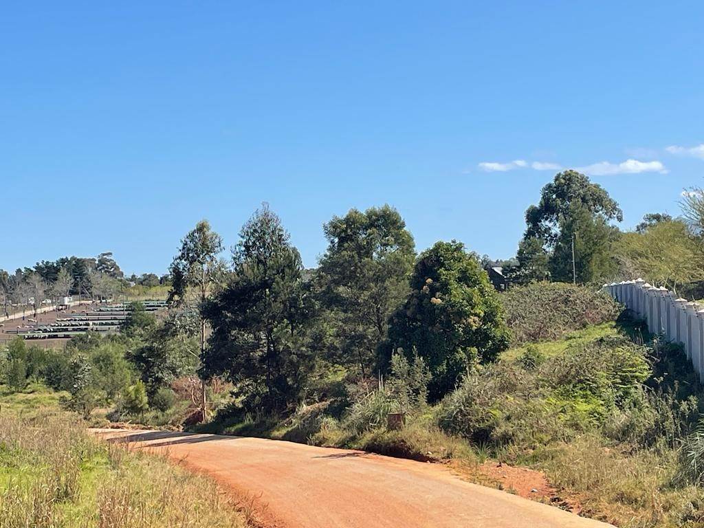6106 m² Land available in Blanco photo number 8