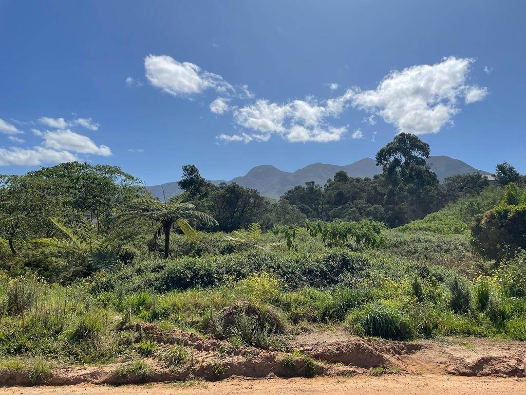 6106 m² Land available in Blanco photo number 4