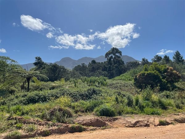 6106 m² Land available in Blanco