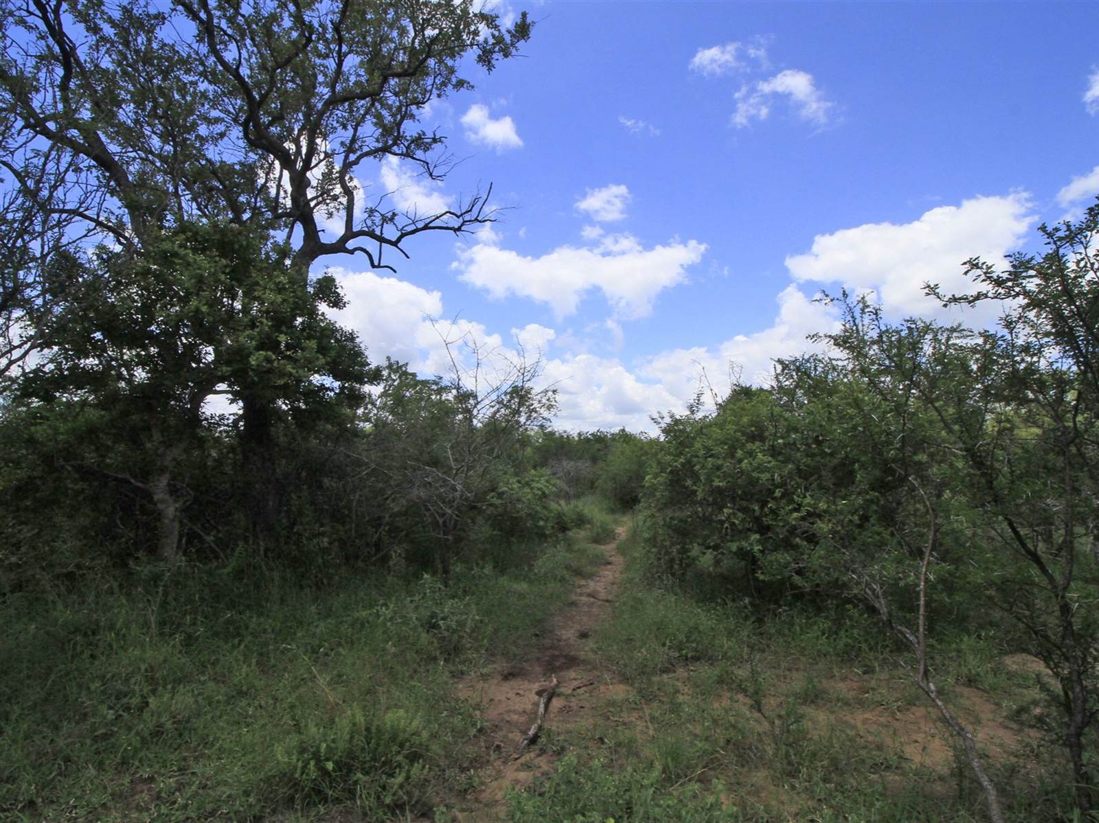 8124 m² Land available in Moditlo Nature Reserve photo number 3