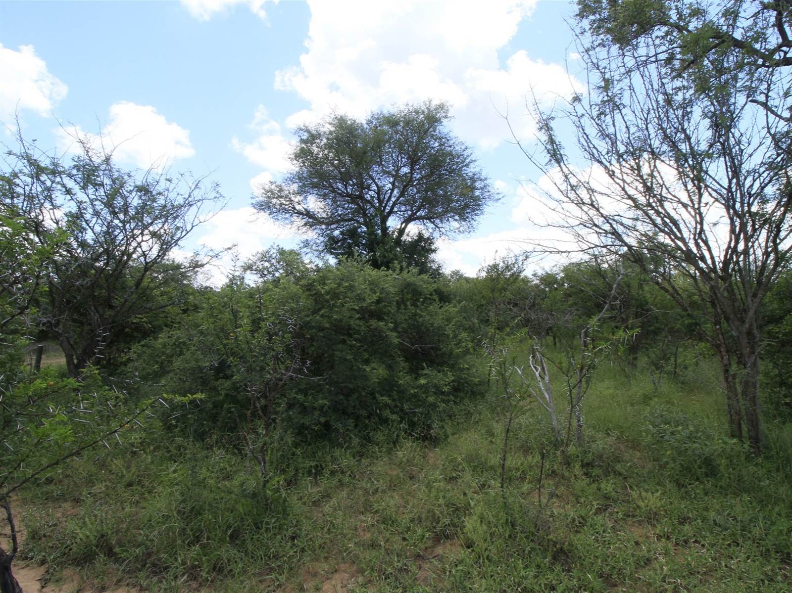 8124 m² Land available in Moditlo Nature Reserve photo number 5