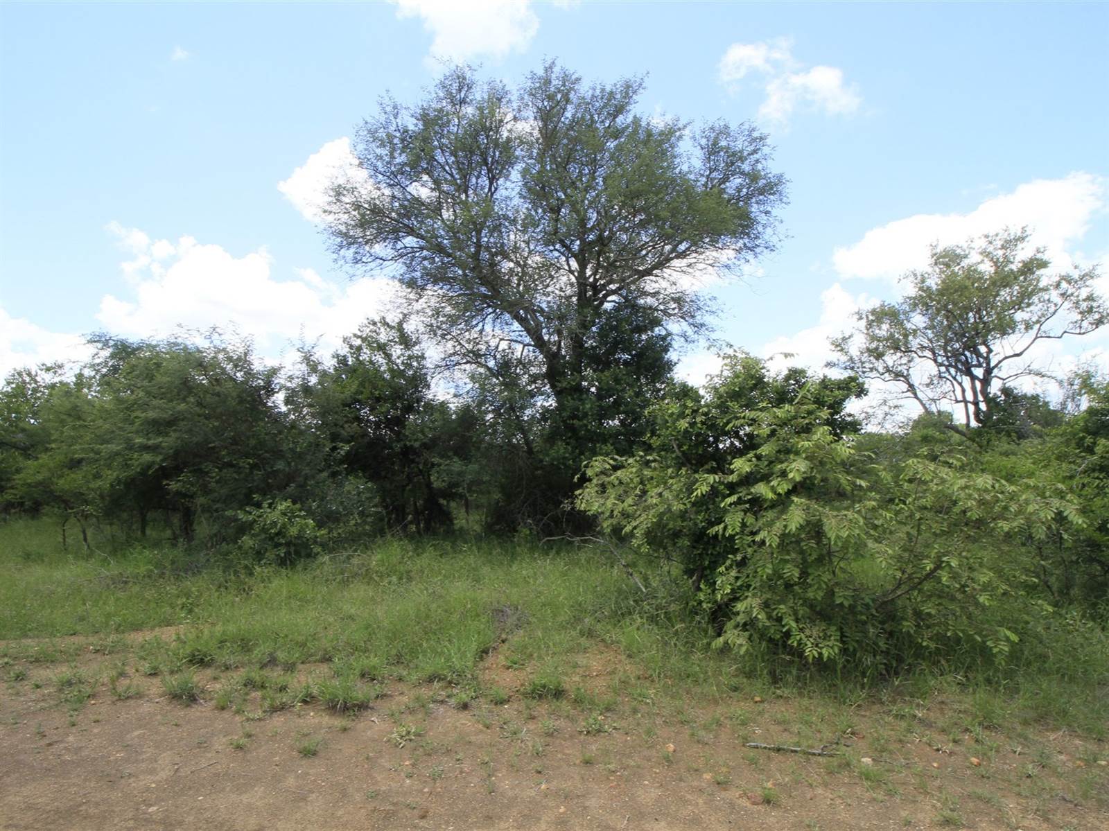 8124 m² Land available in Moditlo Nature Reserve photo number 1