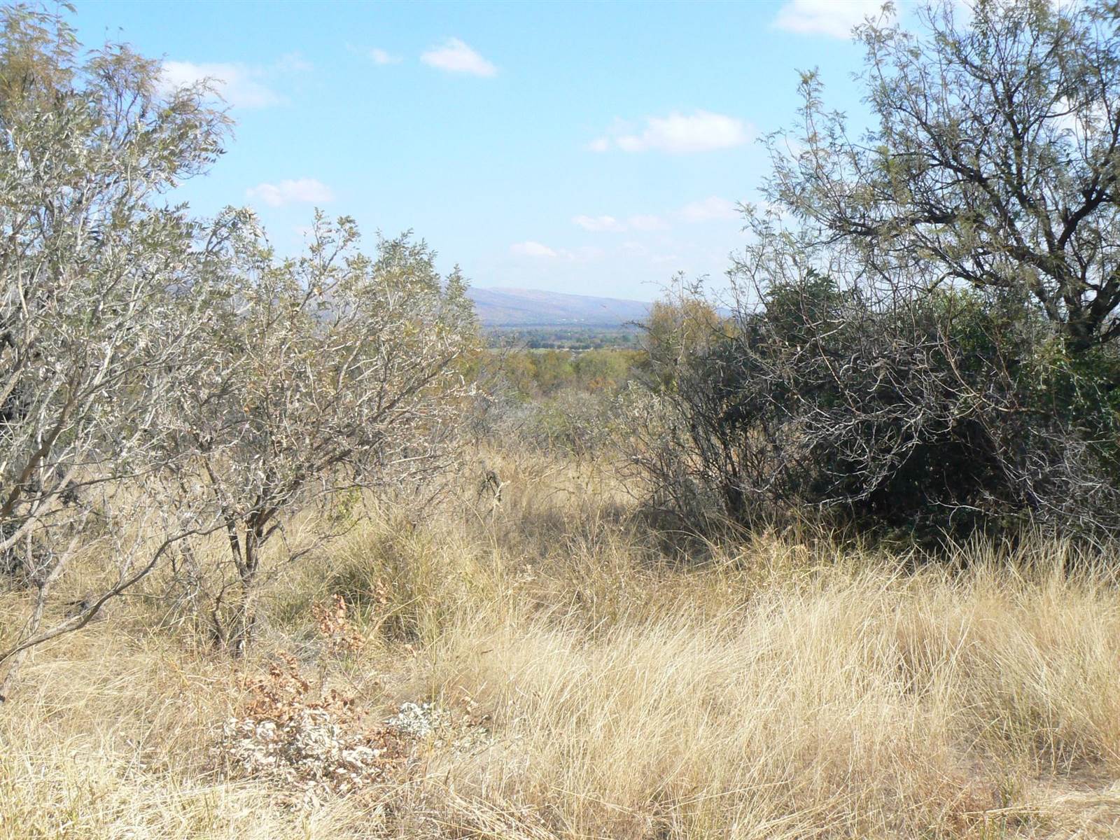 903 m² Land available in Seasons Lifestyle Estate photo number 2