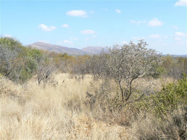 903 m² Land available in Seasons Lifestyle Estate