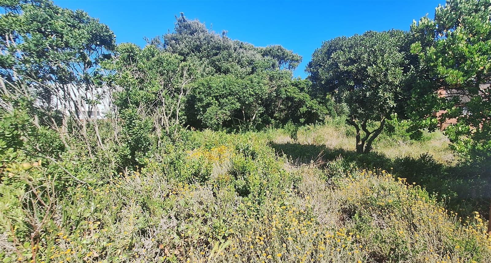 1011 m² Land available in Cannon Rocks photo number 2
