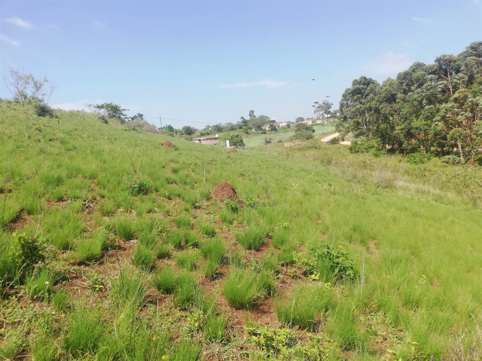 1300 m² Land available in Umzinto photo number 2