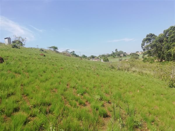 1300 m² Land available in Umzinto