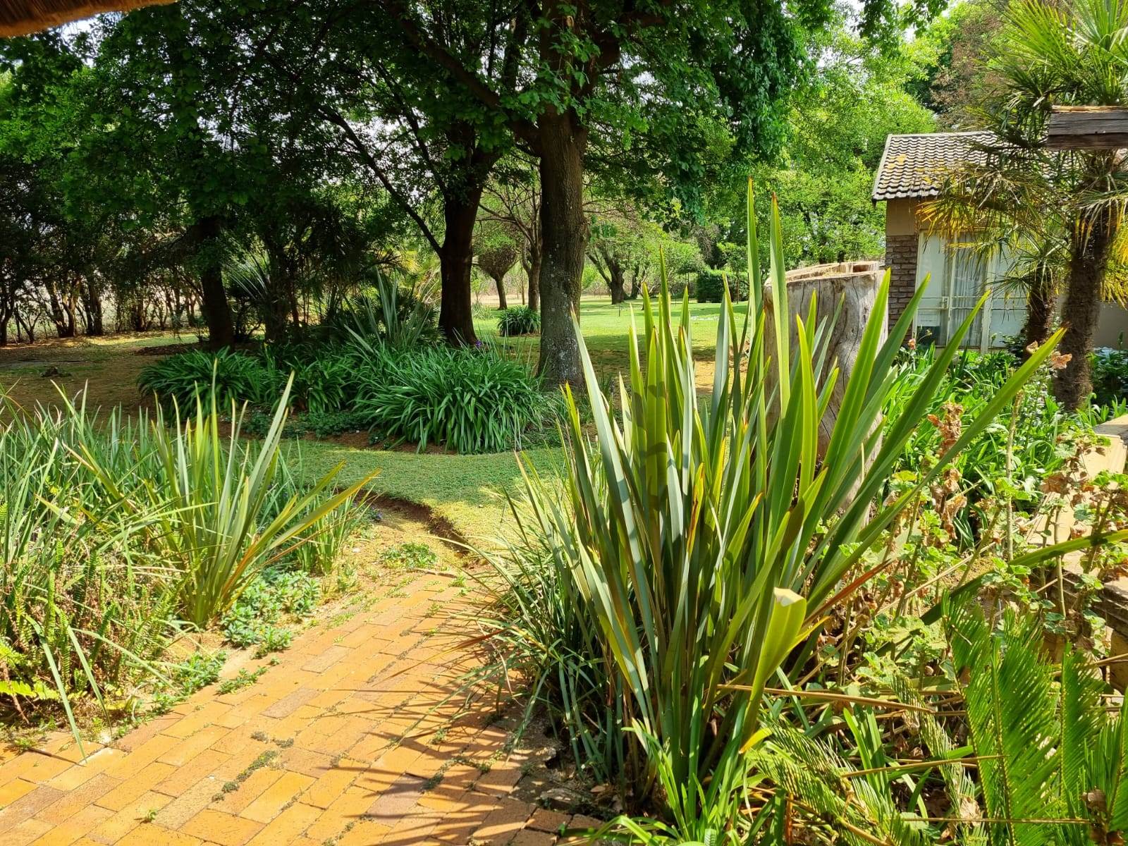3 ha Smallholding in Randfontein photo number 14