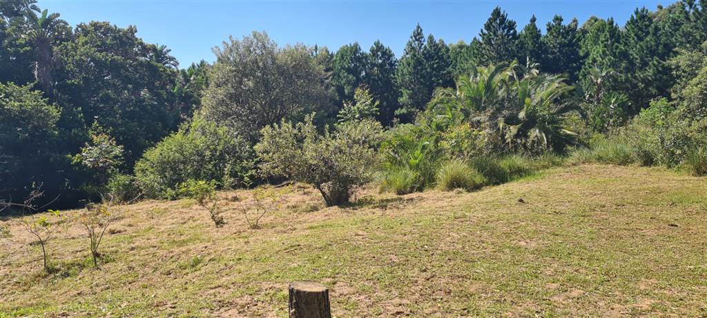 1.7 ha Land available in Leisure Bay photo number 16