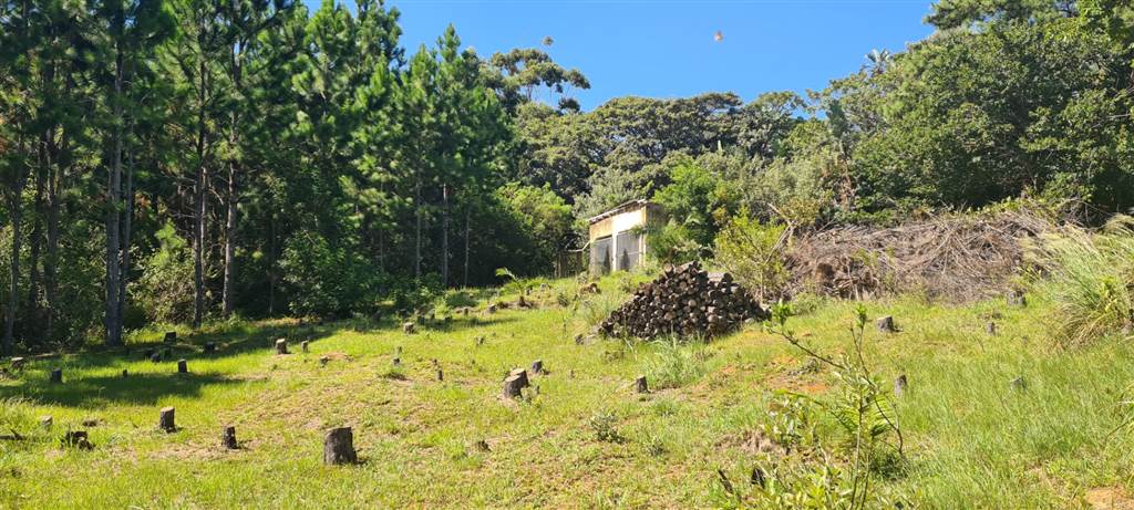 1.7 ha Land available in Leisure Bay photo number 19