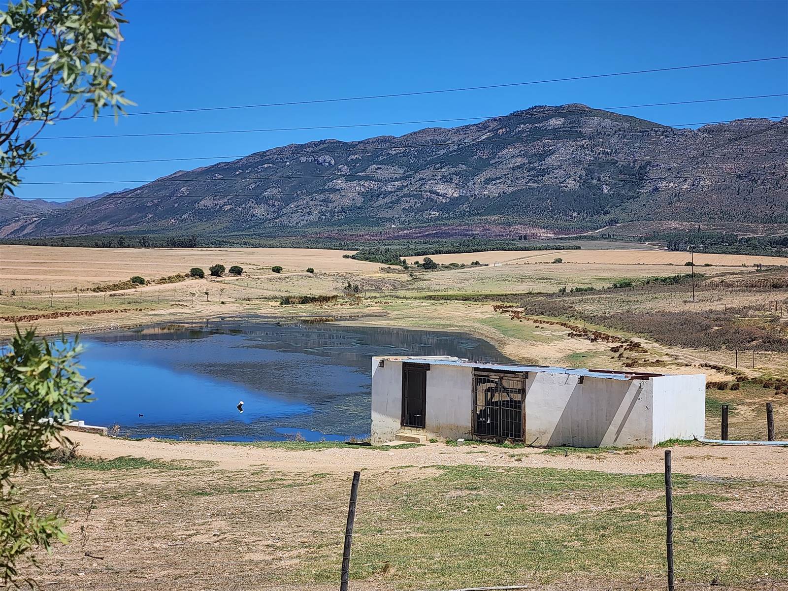 177.9 ha Farm in Tulbagh photo number 9
