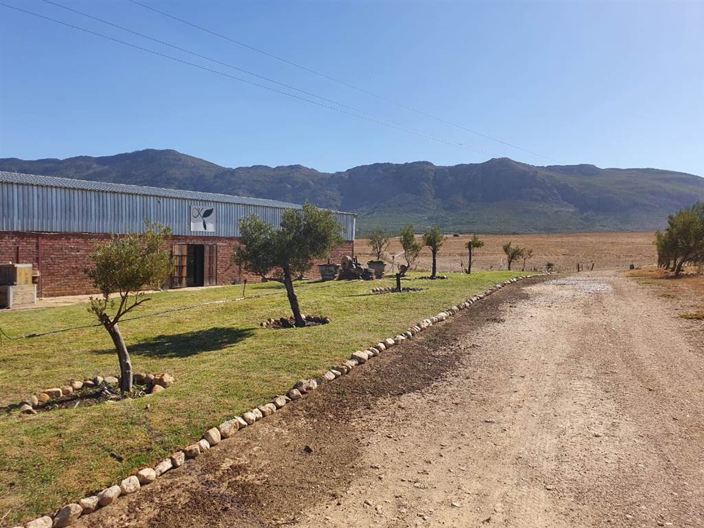 177.9 ha Farm in Tulbagh photo number 24