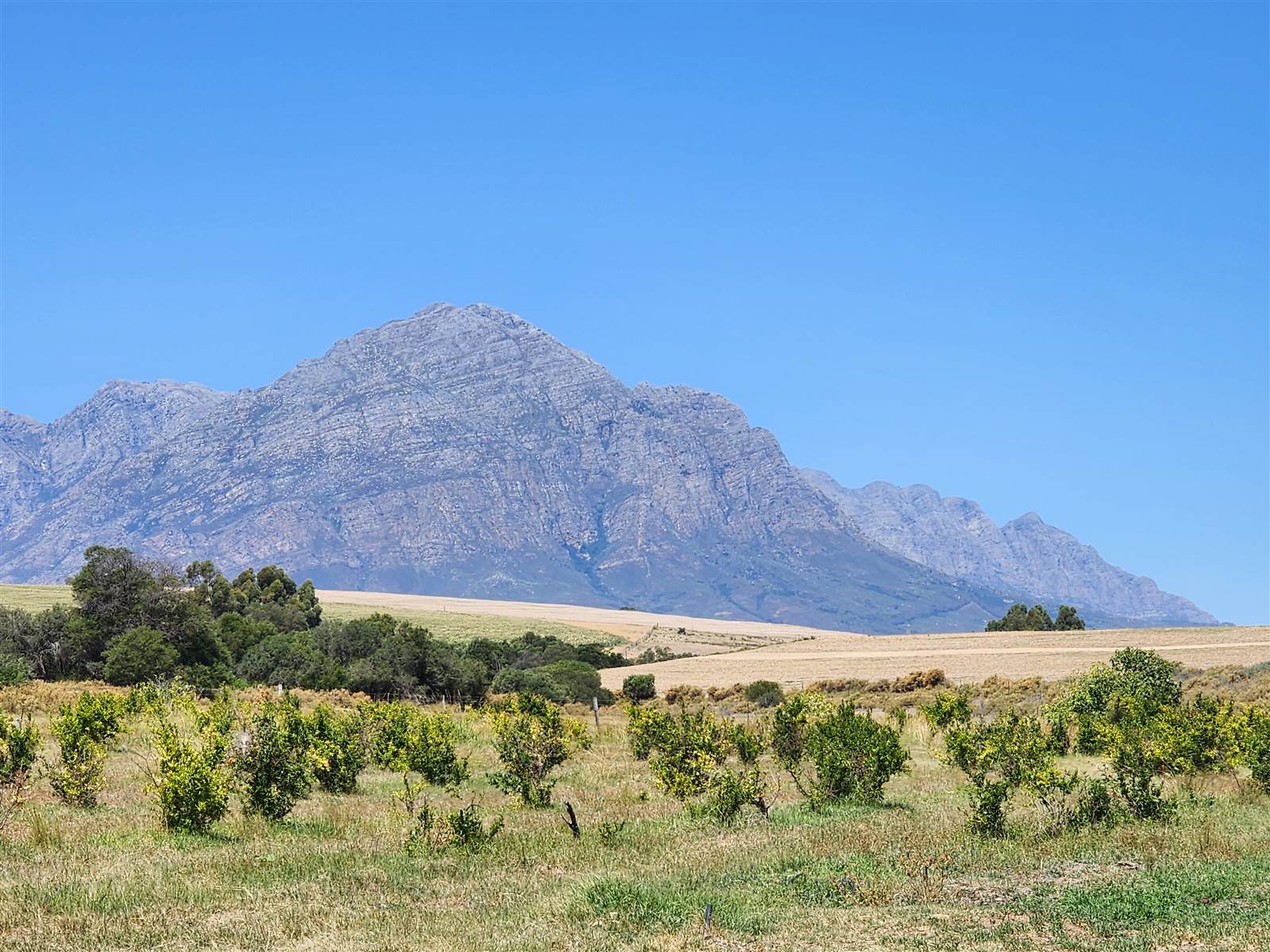 177.9 ha Farm in Tulbagh photo number 2