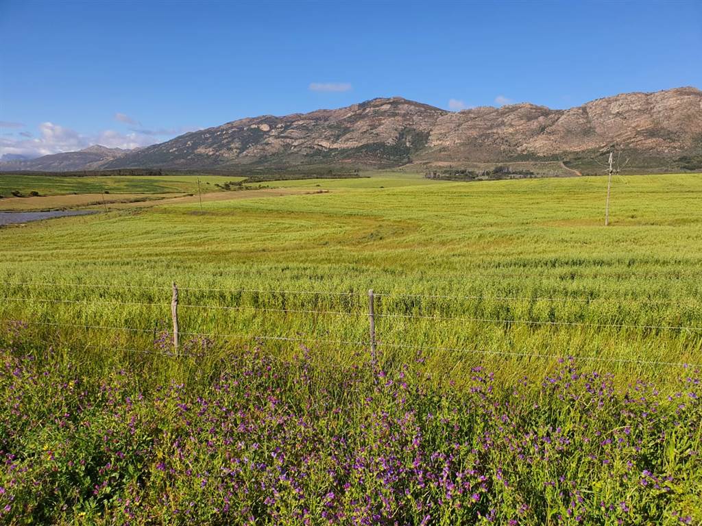 177.9 ha Farm in Tulbagh photo number 1