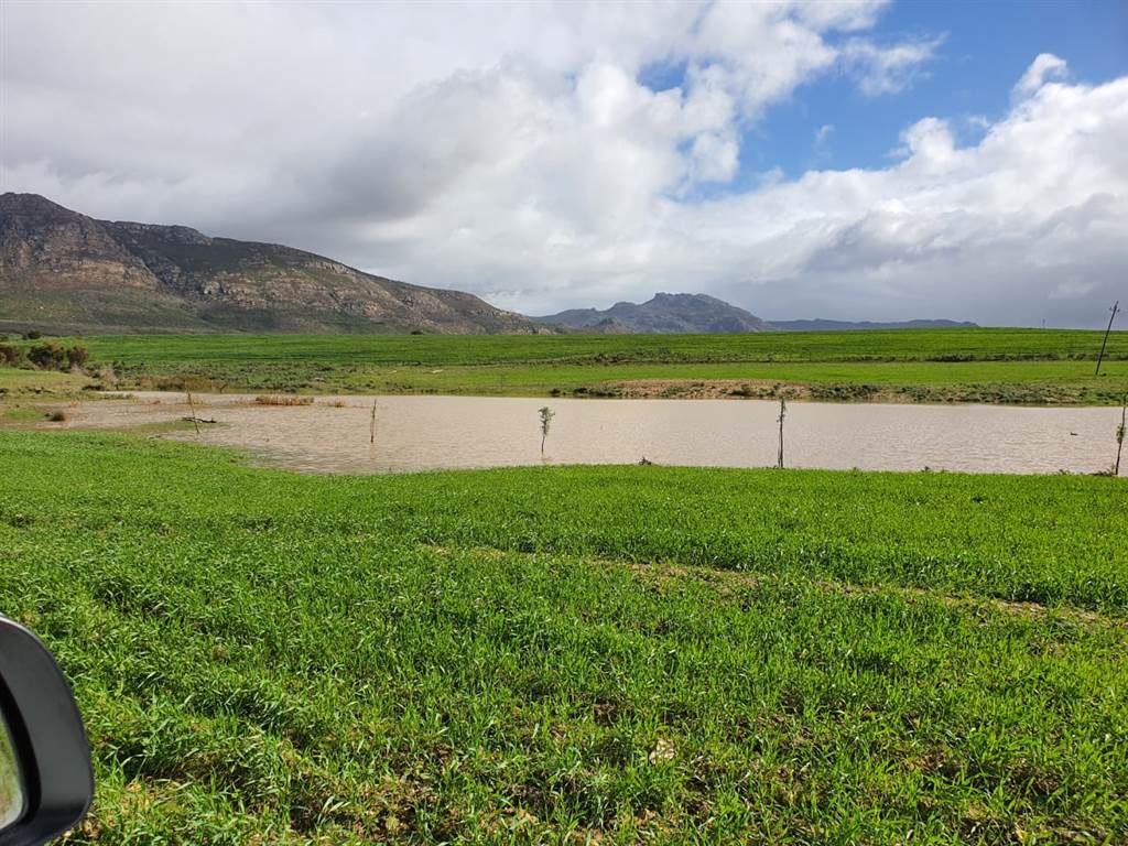 177.9 ha Farm in Tulbagh photo number 19