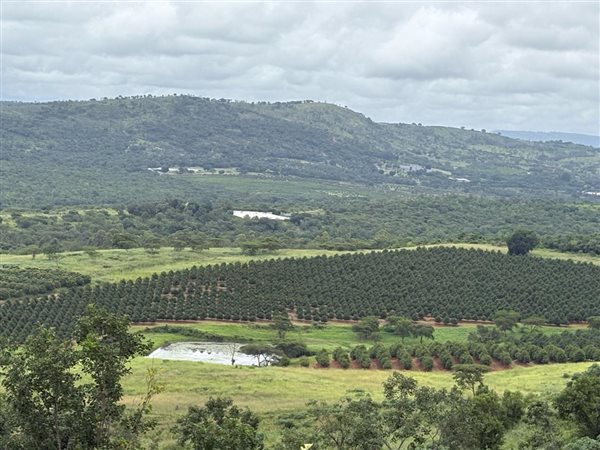 165 ha Farm 165 ha Farm