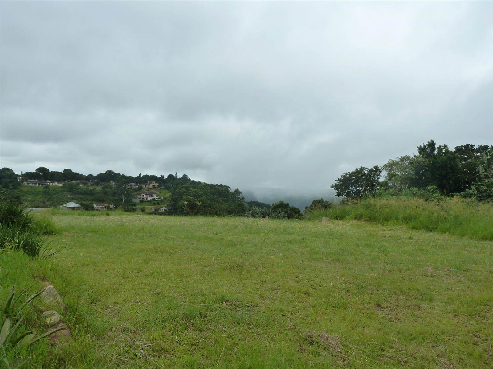 974 m² Land available in Forest Hills photo number 5