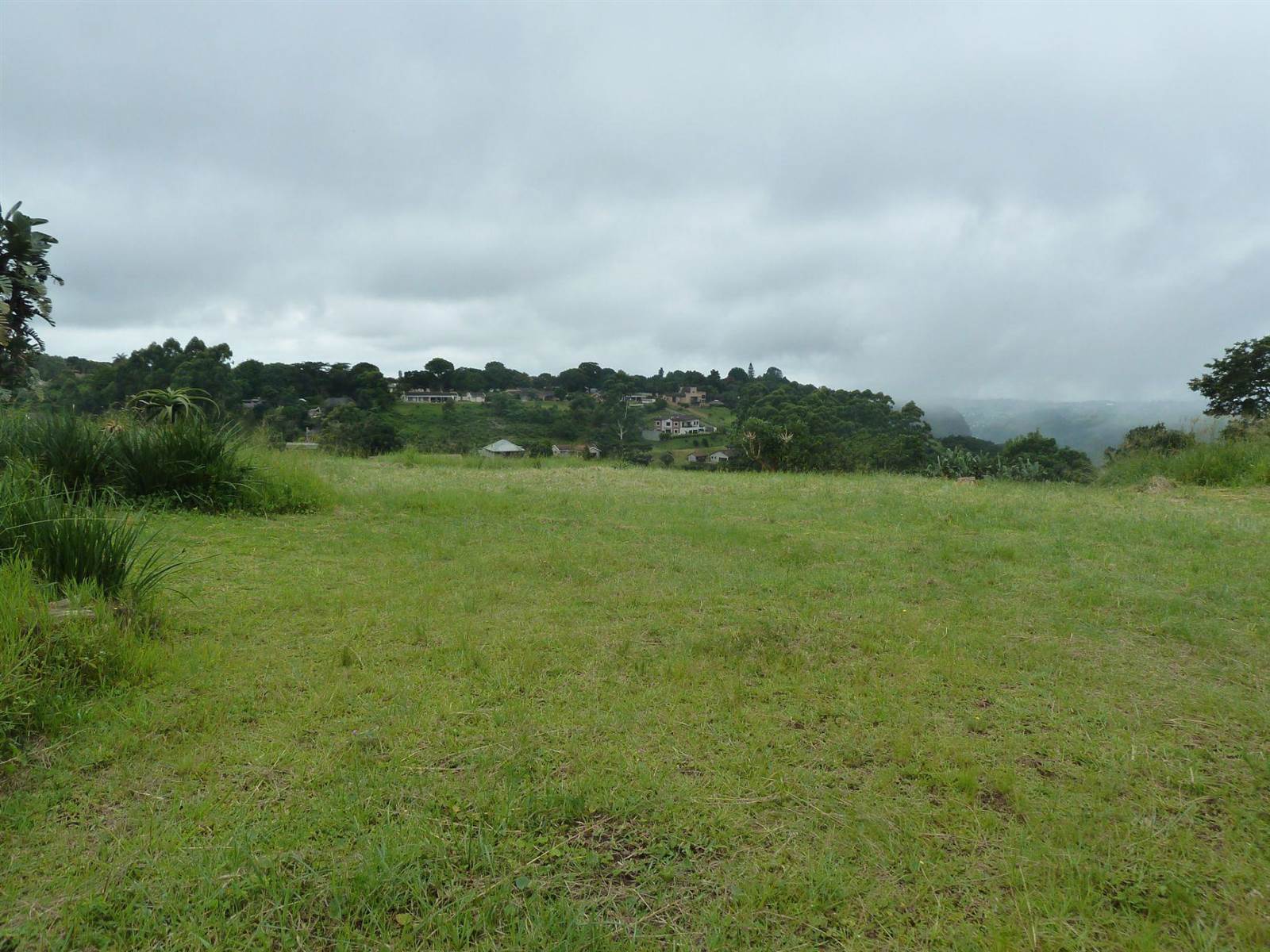 974 m² Land available in Forest Hills photo number 3
