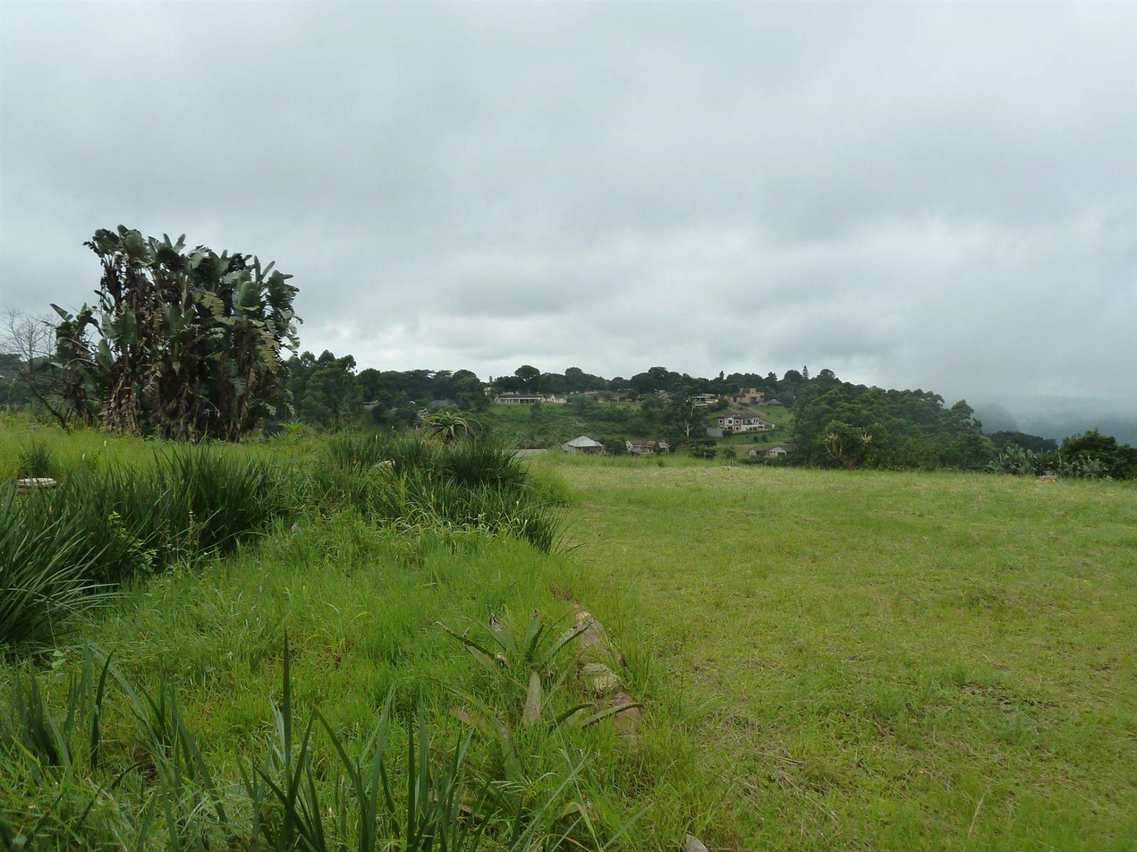 974 m² Land available in Forest Hills photo number 6
