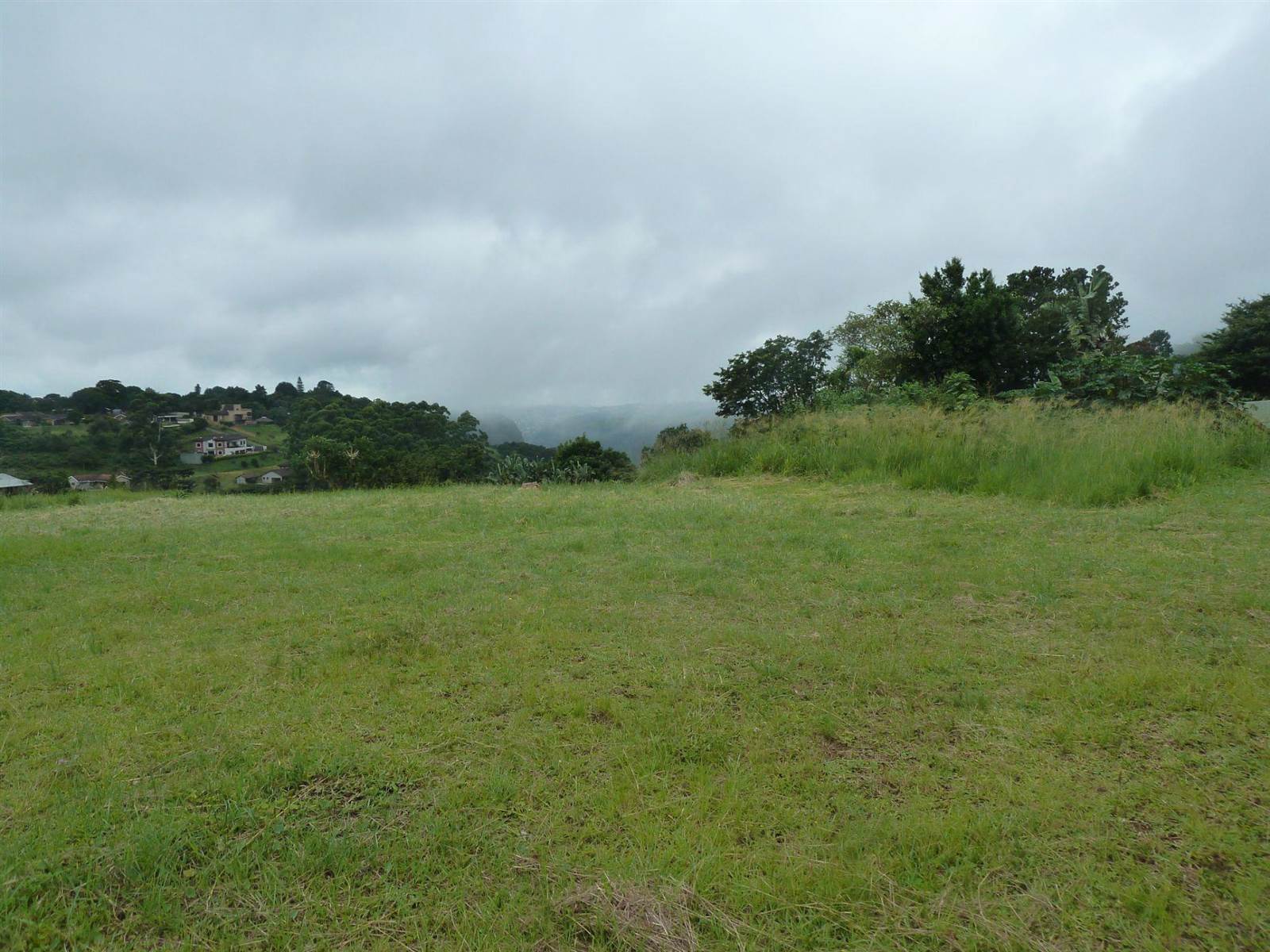 974 m² Land available in Forest Hills photo number 4