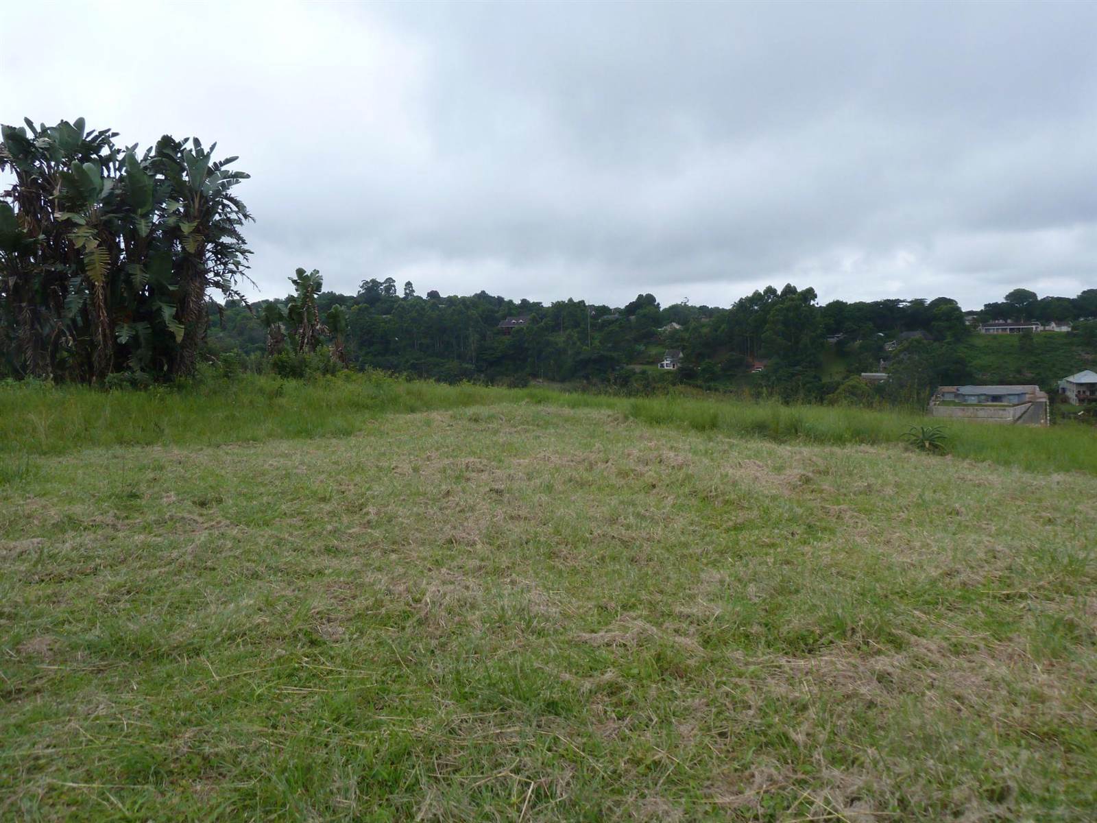974 m² Land available in Forest Hills photo number 8