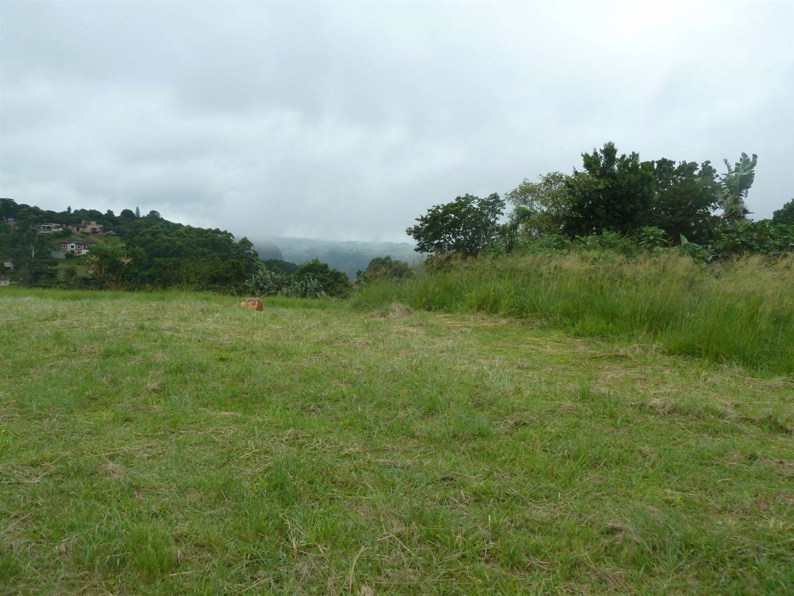 974 m² Land available in Forest Hills photo number 7