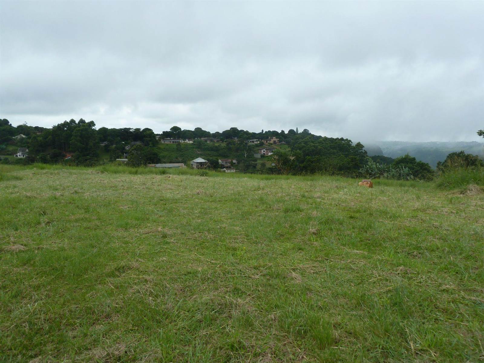 974 m² Land available in Forest Hills photo number 1