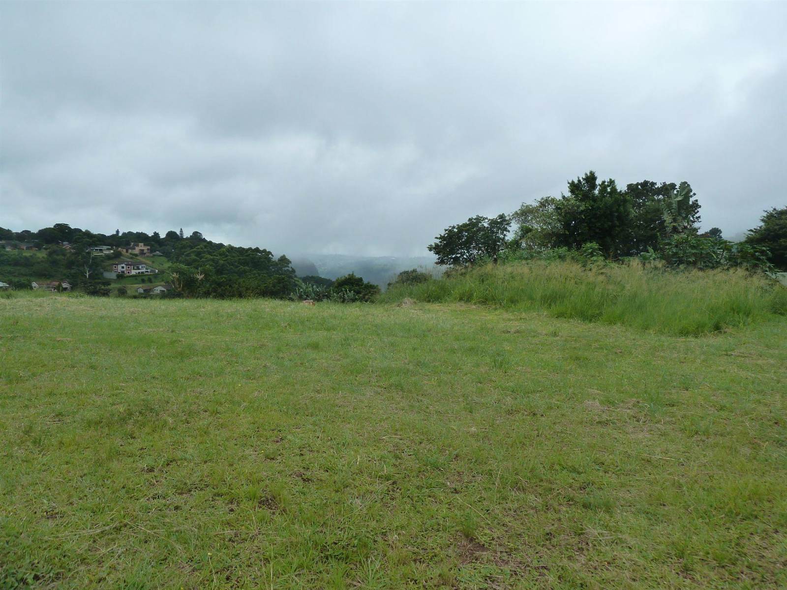 974 m² Land available in Forest Hills photo number 2