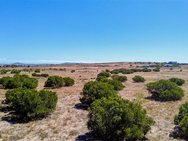 2 ha Land available in Long Acres