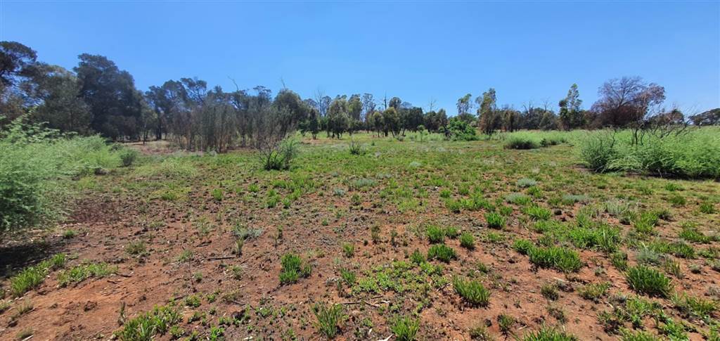 6 ha Land available in Meyerton Park photo number 24