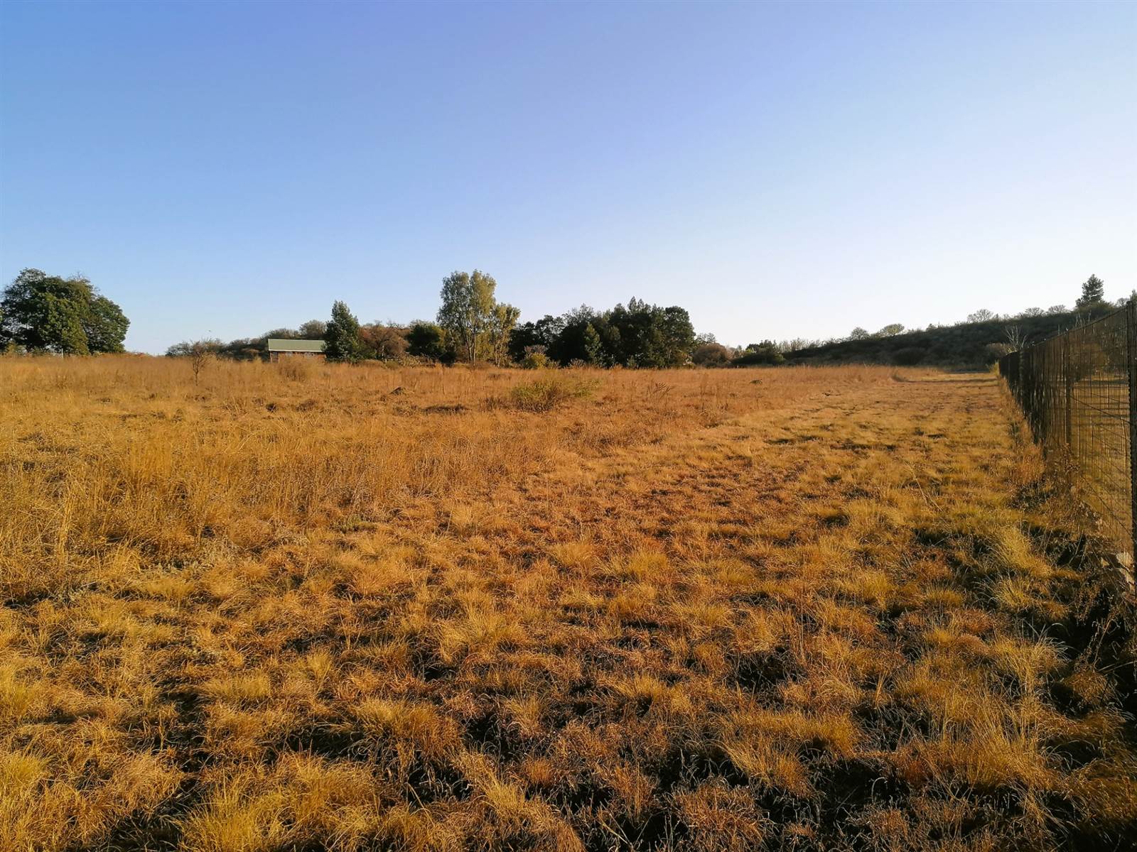 2.1 ha Land available in Blue Saddle Ranches photo number 9