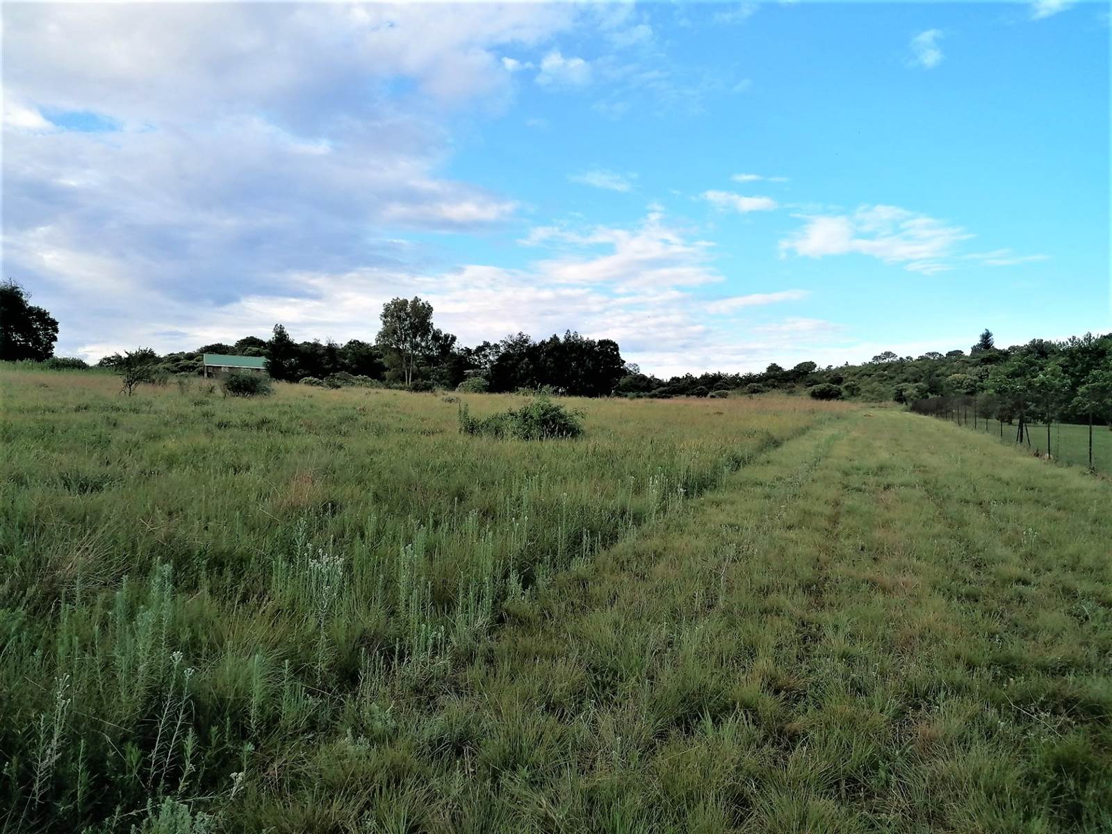 2.1 ha Land available in Blue Saddle Ranches photo number 12
