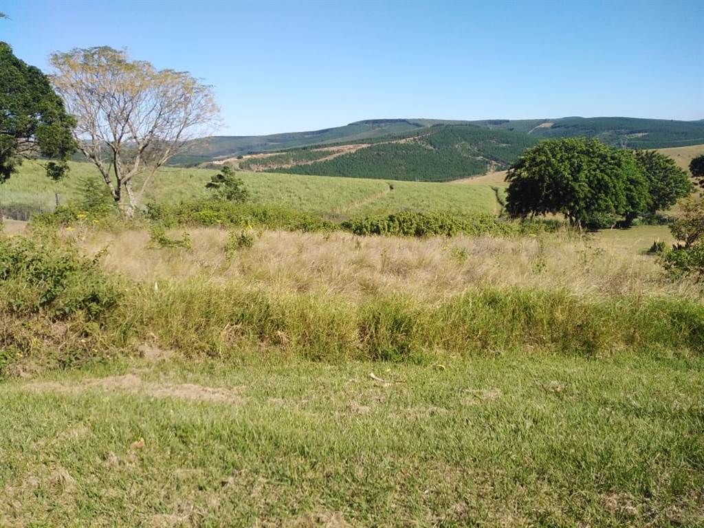 300 m² Land available in Melmoth photo number 3