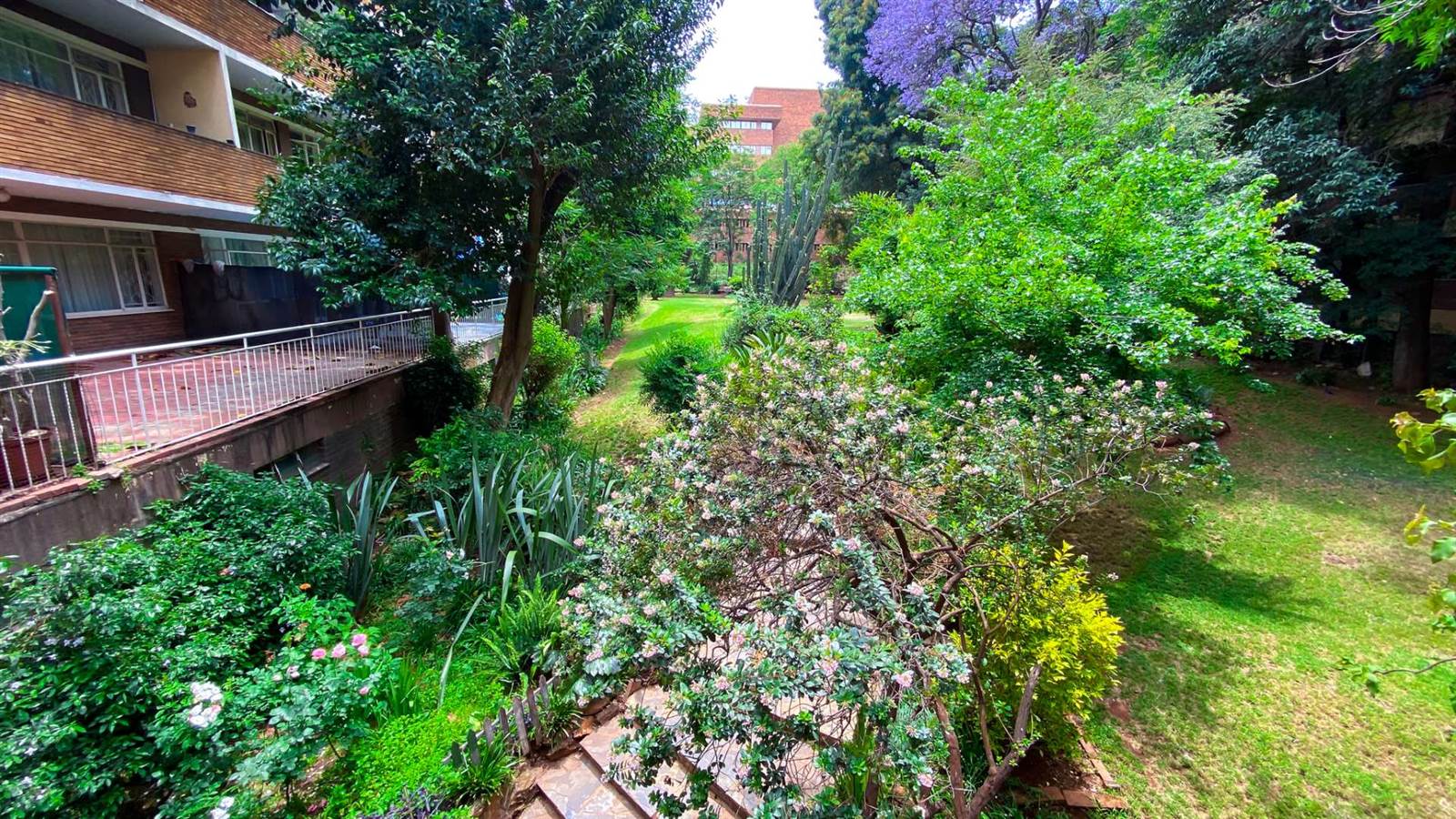 1 Bed Apartment in Parktown photo number 17
