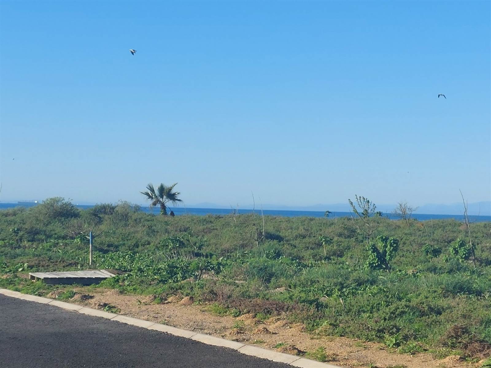 397 m² Land available in Sandy Point photo number 4