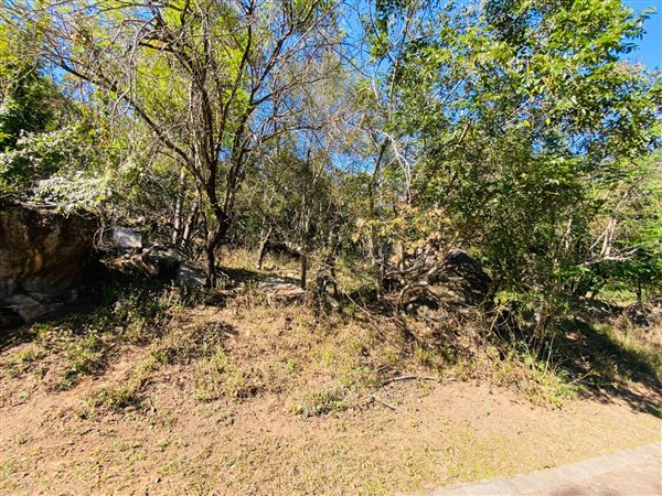 1 658 m² Land