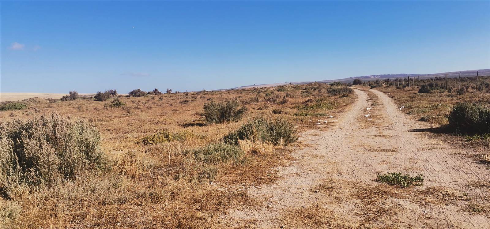7994 m² Land available in Saldanha photo number 7