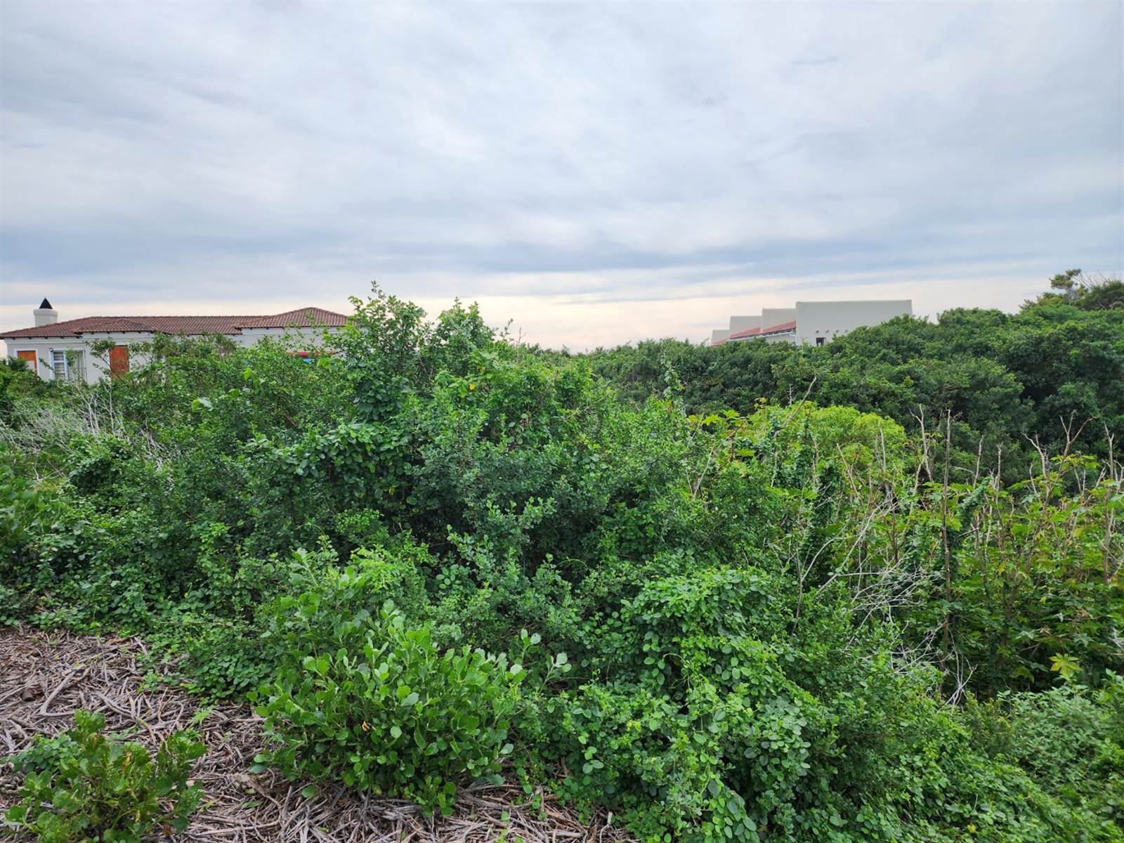 647 m² Land available in St Francis Bay photo number 3