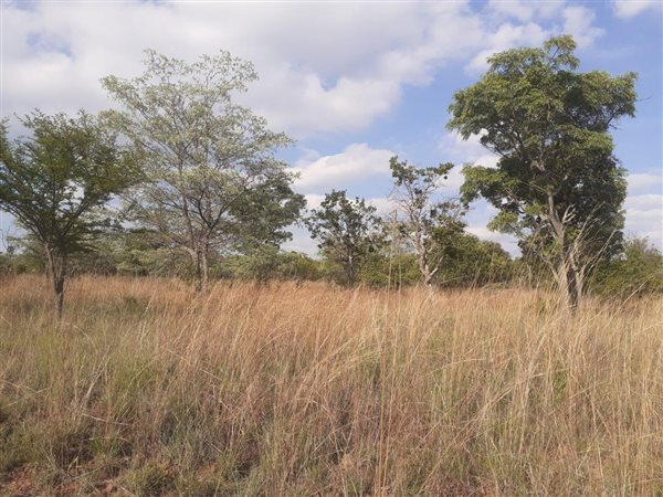 1501 m² Land available in Koro Creek Golf Estate
